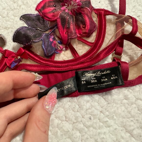 honey birdette mary may bra - Picture 5 of 5